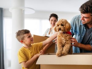How To Book Domestic Removals in Rome