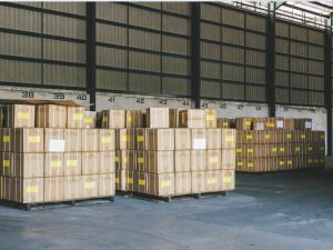 How to Choose the Right Storage Facility in Lisbon?
